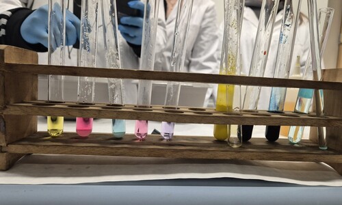 Warsztaty chemiczne dla uczniów Niepublicznej Szkoły Podstawowej w Załukach