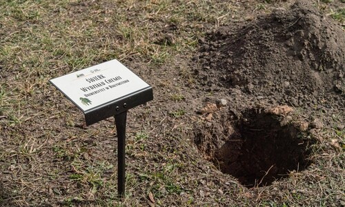 W Alei Mocy przy Domu Pomocy Społecznej przy ulicy świerkowej 9 w Białymstoku został posadzony Świerk Wydziału Chemii Uniwersytetu w Białymstoku.